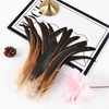 Colorful Rooster Tail Feathers-50PC 10-12inch Natural Long Rooster Tail Feathers