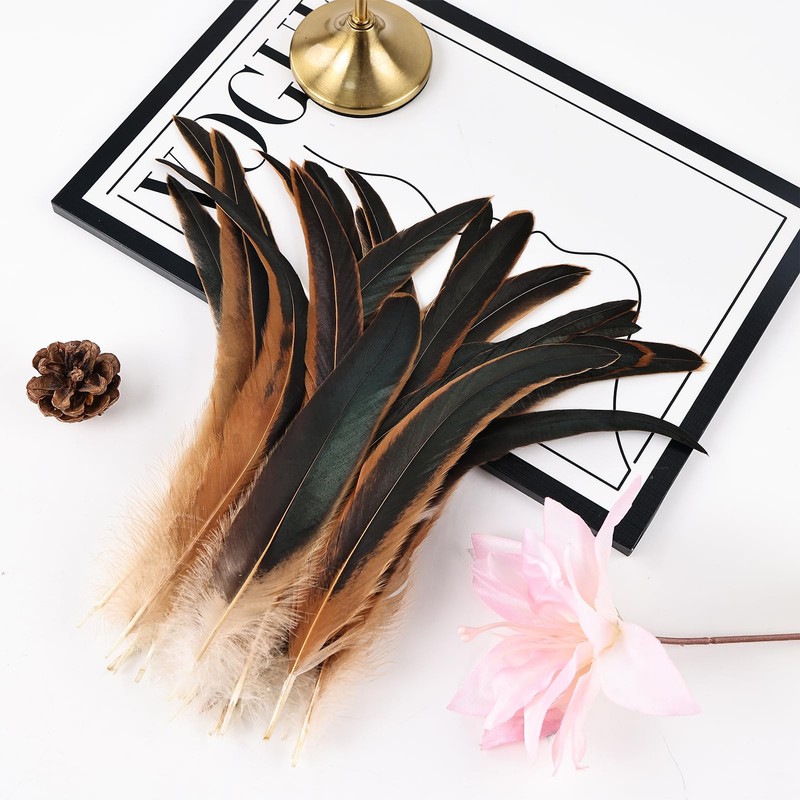 Colorful Rooster Tail Feathers-50PC 10-12inch Natural Long Rooster Tail Feathers