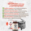 Pack Curcumina Max Nutrientes Vidalabs México Y Probioticos Avanzados Laboratorios
