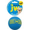 JW Pet Company Dog Toy Ice Squeeking Ball Medium Ride