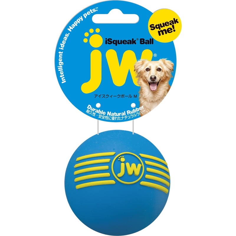JW Pet Company Dog Toy Ice Squeeking Ball Medium Ride