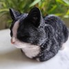 Vivid Arts Dreaming Cat Black & White Ornament – Peaceful