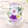 Hanayu Buddha Flowers, Preserved Flowers, Artificial Flowers, White Version, Clear