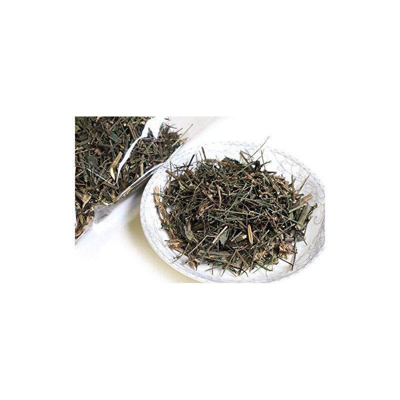 USTCM New Packaging Andrographis Chuan Xin Lian 穿心蓮 4 Oz