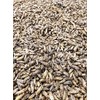 XL Whole Roasted Crickets 250g | Unseasoned and Ready to