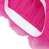 Women's Tutu Skirt Elastic 5 Layered Tulle Dance Skirt Ballet