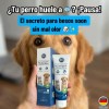 Crema Dental Pet Clean Sabor Carne Para Perros Y Gatos