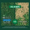 Scotts EZ Seed Patch & Repair Sun and Shade Mulch,