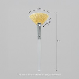 APPEARUS Boar Bristle Facial Fan Brush – Professional Face Mask & Acid Peel Applicator, Esthetician Spa Skincare Tool (1-Pack)