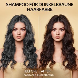Hair Colour Dark Brown Hair Dye for Grey Hair, Shampoo Against Grey Hair for Men and Women, Dark Brown Hair Dye Shampoo 3-in-1 (Dark Brown 500 ml/16.9 oz)