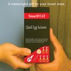 5PCS Quail Egg Scissors, Egg Yolk Separator, Stainless Steel Whisk,