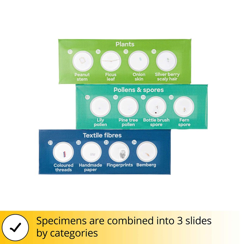 DISCOVERY Flora 12 Prepared Microscope Slides Set for Kids with