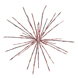 Holiday Bright Lights LED 24" Indoor/Outdoor 3D Radiant Blast - Red/Red