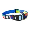Collar y Correa para Perro con diseño Oficial FIFA –