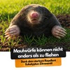 Schädlingsmeister® Mole Repeller and Vole Deterrent – 100 Balls –