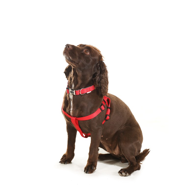 Doodlebone Originals Dog Harness, Peacock, 5-8