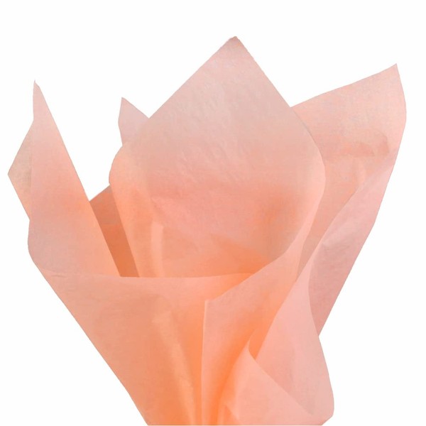 PMLAND Premium Quality Gift Wrapping Paper - Peach Color - 20 Inches x 26 Inches 60 Sheets