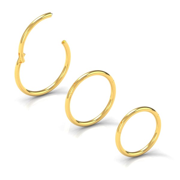 NewkeepsR 3PCS-1.0mm Gold Anodised Hinged Clicker Nose Hoop Rings, 18