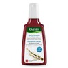 Rausch Willow Bark Scalp Care Shampoo 200ml / 라우쉬 윌로우바크 두피케어 샴푸 200ml