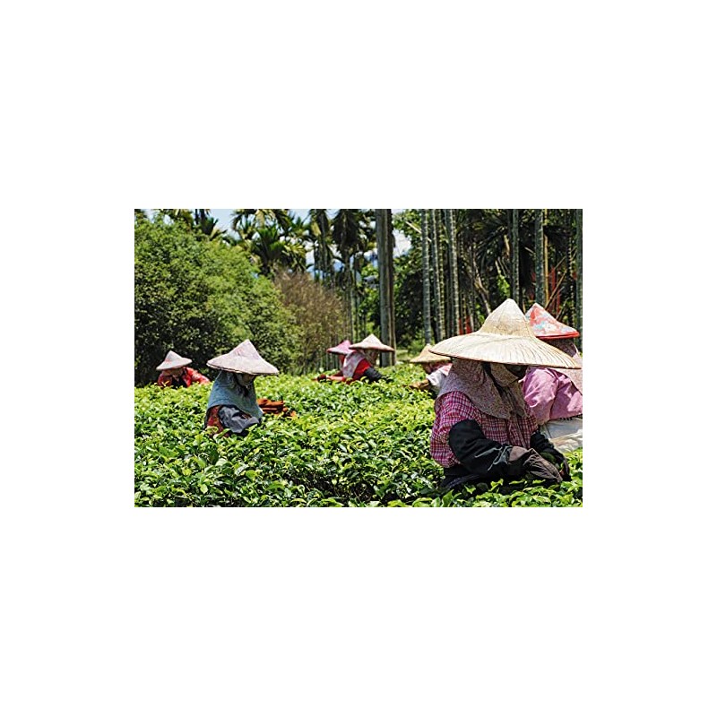 Black Tea · Yunnan Pu-Erh · China · Red Tea