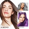 Hair Dye Shampoo - Black, Hair Dye Shampoo, Jet Black
