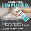 NatureStop Rodent Repellent Spray – Helps Deter Mice & Rats