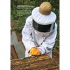 Wax Green Spray Propolis with Honey Glycolic Extract-Non Alcoholic Wax