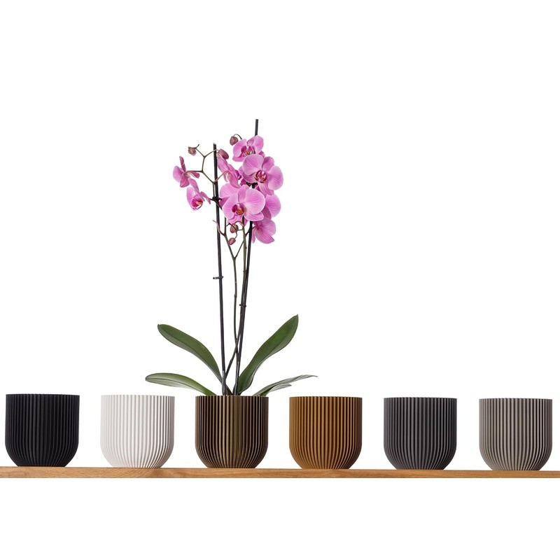 3D Vase Cloe Orchid Pot, Herb Pot, Planter, Shatterproof, Sustainable,