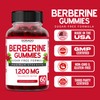 Berberine Gummies with Ceylon Cinnamon (1,200mg) 60 gummies - Healthcare