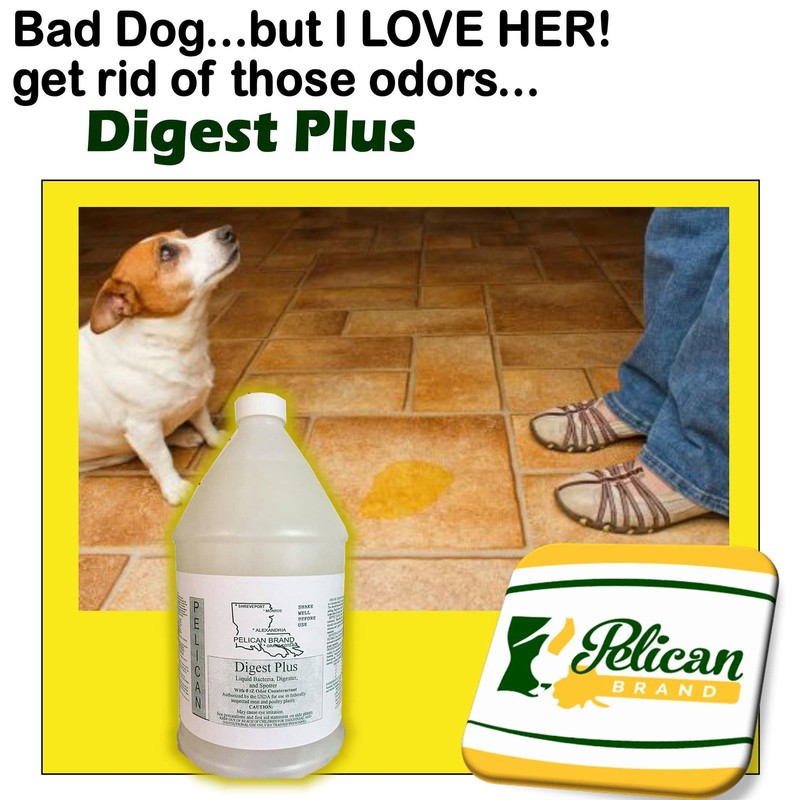 Digest Plus