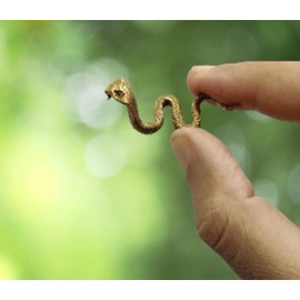 Purpledip Rare Miniature Brass Figurine King Cobra Nag Snake: Collectible Showpiece Statue With Fine Workmanship (12699A)
