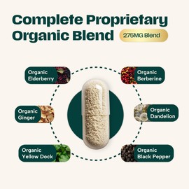 Organibly Organic Sea Moss Black Seed Oil Ashwagandha Ginger Capsules. Sea Moss Capsules with Black Seed Oil, Ashwagandha, Turmeric, Bladderwrack, Burdock Root, Apple Cider Vinegar