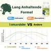 Liposomal Sulforaphane High Dose, 450 mg Daily Dose, Broccoli Capsules