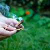 Selenite Crystal Wands & Palo Santo Incense Wood Beginners Cleansing