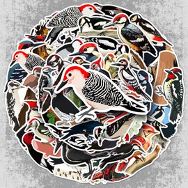 50 Pcs Woodpecker Vinyl Stickers,Cartoon Bird Graffiti Stickers,Vinyl Waterproof Sticker for Kids Teens Girls,for Phone Laptop Bottles Skateboard Computer Phone Luggage Guitar Gifts Sticker