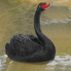 Floating Fake Swans, Simulation Swan Float Freely Black Lifelike for