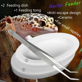 Fuongee Reptile Worm Feeding Dish Bowls Gecko Lizard Feeder Dish with Feeding Tong, 2 Bowls and 1 Feeding Tong, Ceramic Mini Size
