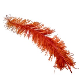 africX Ostrich Feathers Set of 3 - Natural and Dyed Wing Feathers - Versatile - Colours: Pink, Brown and White - Ideal for Costumes and Craft Supplies