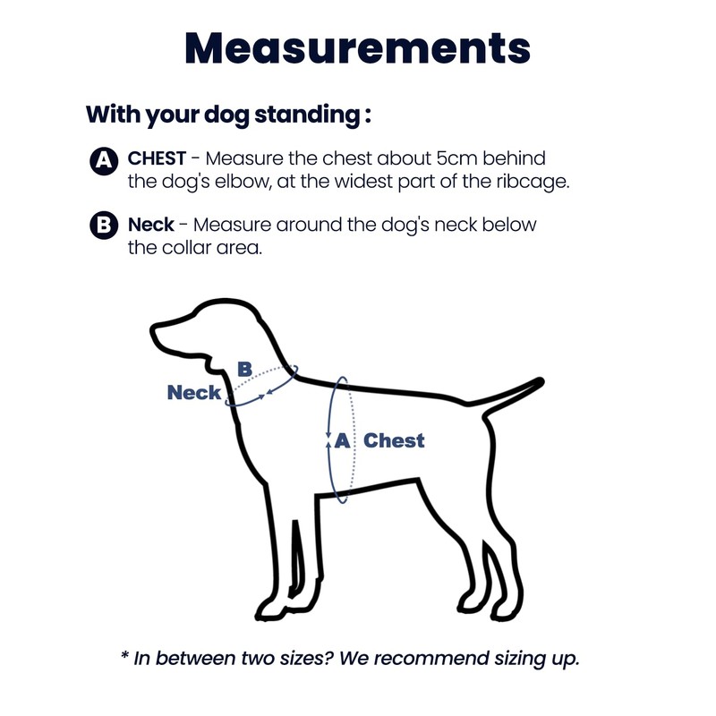 LufeLux Non Restrictive Large Dog Harness, Easy Walk Freedom No