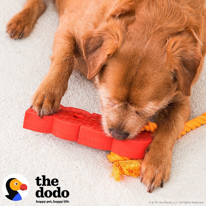 The Dodo 2-in-1 Nylon + Bamboo Dental Chew & Tug,