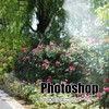 Electric Sprayer Battery Powered Watering Wand Auto Pumping Sprayer for