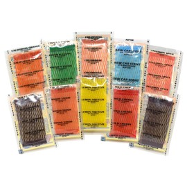 Auto Scents - Professional Car Air Freshener Pads Sampler (Sample Pack of 10 Scents) Multi-Color