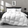 APSMILE All Season Down Feather Fibers Comforter Super King Size