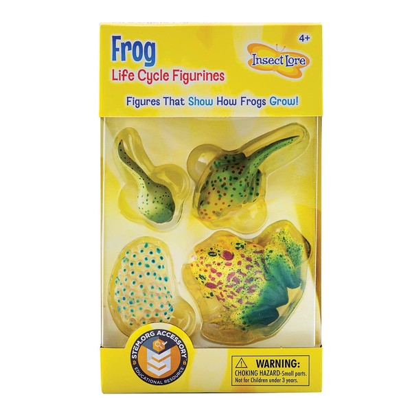Insect Lore Frog Life Cycle Stages
