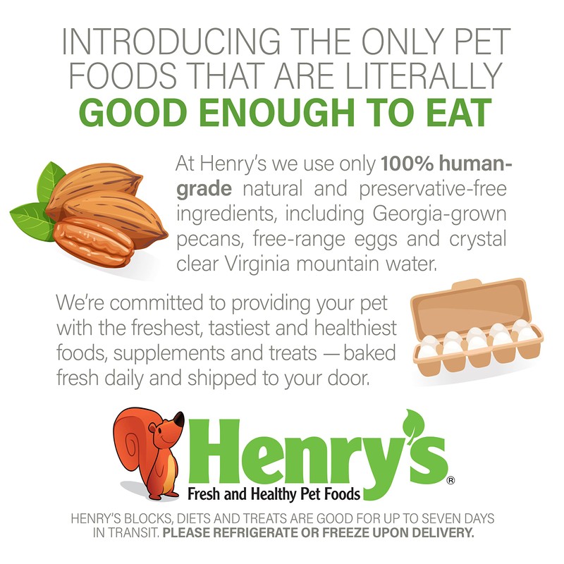 Henry's Picky Blocks - Nutritionally Complete Food for Squirrels, Flying