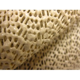 Penbrice Interiors Anti Slip Grip Cloth Fabric 200cm x 60cm Sofa Seat Cushions Slip Try this Rubber Grip