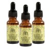 ORE Aceite de Orégano Natural, 20 ml, Pack de 3