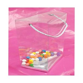 Durapak Supplies 48 PCS 5.5(W) x4(D) x7.5(H) Rope Handle w/Silver Card Bottom, Clear Plastic PVC Boxes for Party Favor Wedding Favor, retail products packaging and display