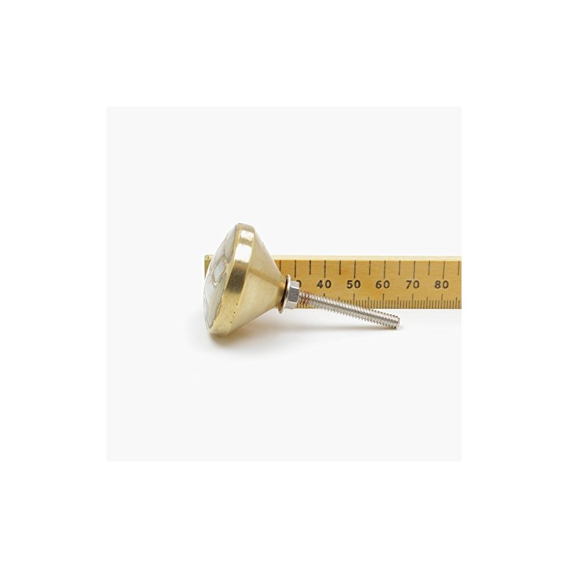 Handmade Inlay Pearl with Brass Body Mixed Media Knob, Pull,