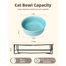 GDCZ Elevated Cat Bowl Stand, 11.6 in Metal Stand with 2 Removable 15 OZ Ceramic Bowls for Pet Food and Water, Stand Reduces Cat Neck Burden, Turquoise